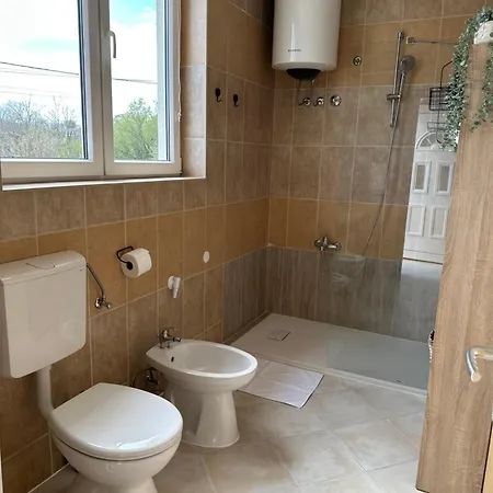 Zlata Apartment *